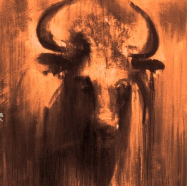 Toro